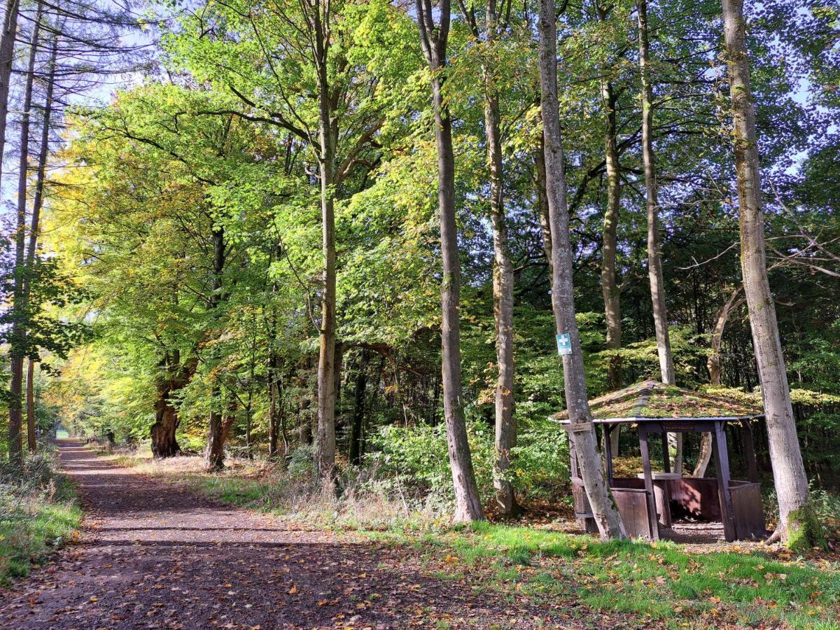 Steewer Landhaus Gemuetliche Ferienwohnung Bis 6 Pers In Ruhiger Ortsrandlage Stebach 外观 照片