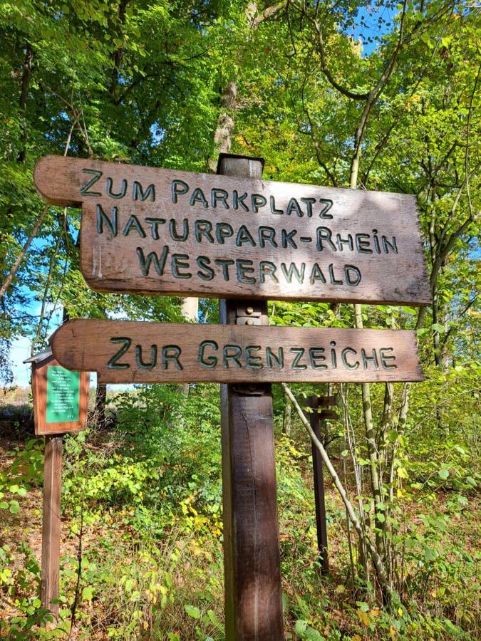 Steewer Landhaus Gemuetliche Ferienwohnung Bis 6 Pers In Ruhiger Ortsrandlage Stebach 外观 照片