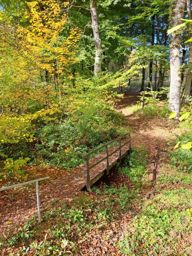 Steewer Landhaus Gemuetliche Ferienwohnung Bis 6 Pers In Ruhiger Ortsrandlage Stebach 外观 照片
